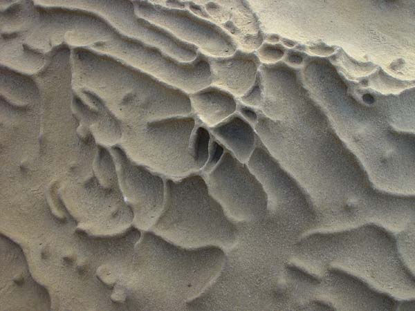 Stone_Web