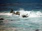 Crashing_Surf_I