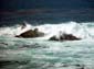 Crashing_Surf_III