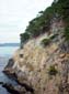 Point_Lobos_Cliffside