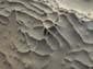 Stone_Web