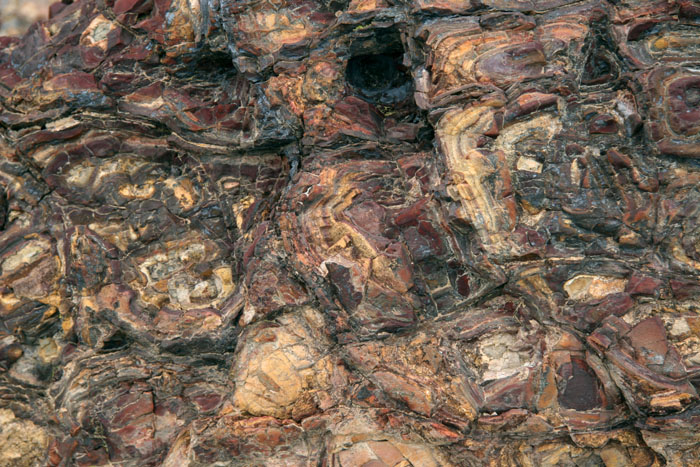 Rock Pod (Closeup 2)
