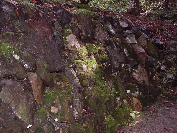 Mossy