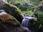 Tiny Waterfall