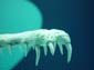 Toothsome