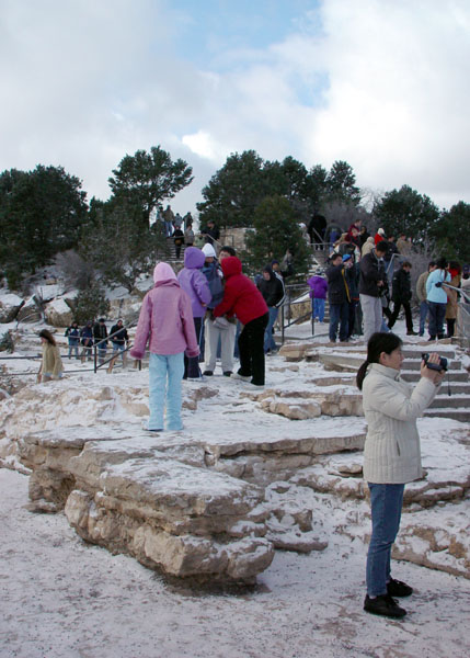 Chilly_Visitors