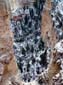 Wooded_Slope