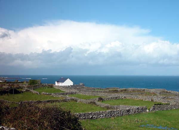 White_Seaside_House