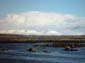 Distant_Snowy_Mountains