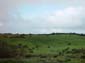 Grazing_Field