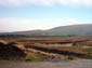 Peat_Farm