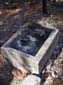 Bog_Spring_(The_Disappointing_Truth)