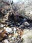 Madera_Creek