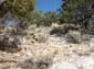 Stony_Hillside