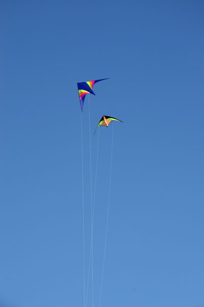 Kites