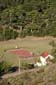 Basketball_Clearing
