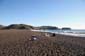 Beachgoers