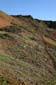 Colorful_Hillside