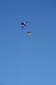 Kites