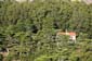 Secluded_House
