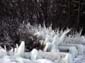 Jagged_Ice