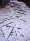 Overlapping_Roots