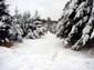 Ski_Tracks