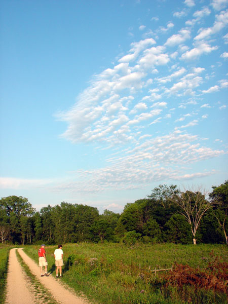 Along_the_Driveway