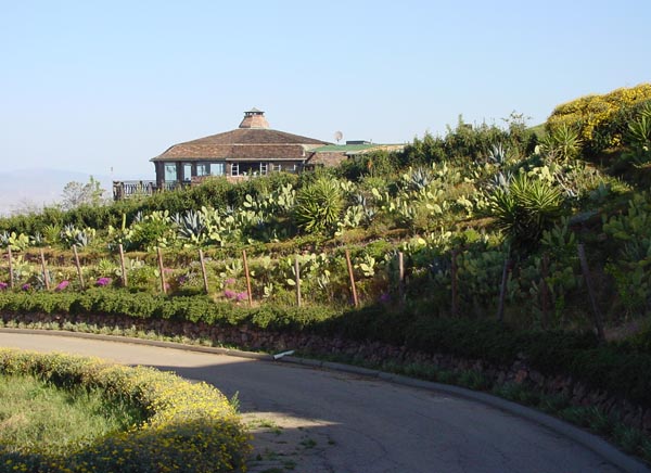 Bungalow