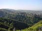 Hillside