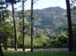 Valley