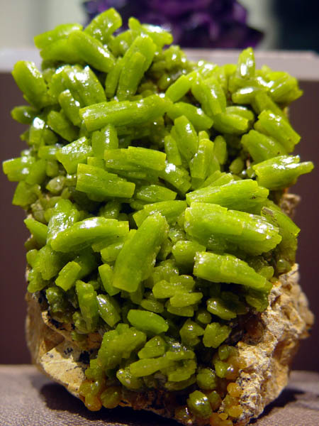 Chopped_Asparagus_Crystals