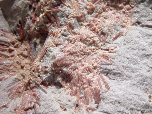 Rose_Quartz_In_White_Grit
