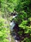 Verdant_Gorge