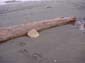 Log and Stone