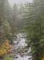 Misty Stream