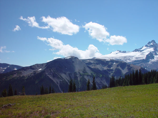 Meadow_and_Clouds_II