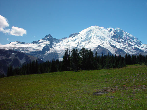Rainier_and_Meadow