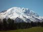 Mt. Rainier National Park